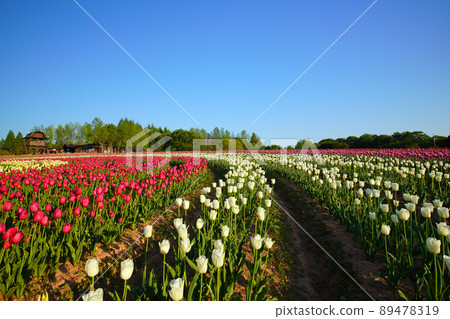 Churippu field 5772 Churippu field 5772 89478319