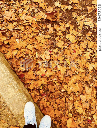 Fallen leaves, autumn leaves, walks, sneakers, autumn park Fallen leaves, autumn leaves, walks, sneakers, autumn park 89478916