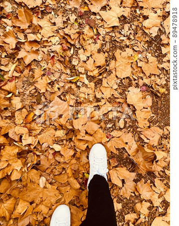 Fallen leaves, autumn leaves, walks, sneakers, autumn park Fallen leaves, autumn leaves, walks, sneakers, autumn park 89478918