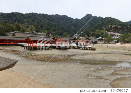 廣島縣八日市的宮島嚴島神社轄區和落潮 廣島縣八日市的宮島嚴島神社轄區和落潮 89479037