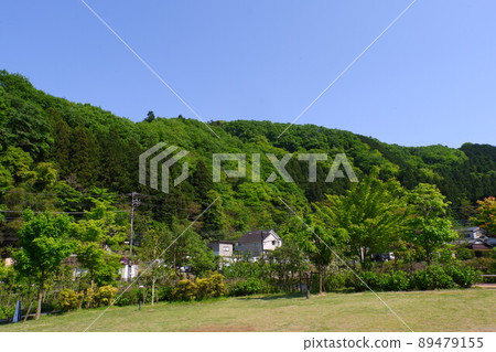 新鮮的綠色高尾山 89479155