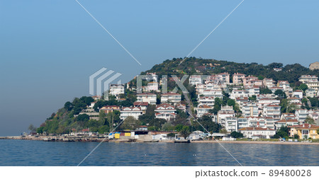View of Kinaliada island from the sea with summer houses from the Sea of Marmara near Istanbul, Turkey 89480028