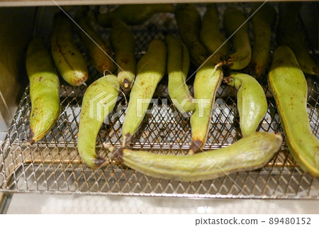 Making "baked broad beans" by baking empty beans together with pods in an oven toaster Making "baked broad beans" by baking empty beans together with pods in an oven toaster 89480152
