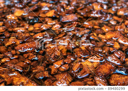 Chopped coconut husks soaked in water to prepare for use as planting material 89480299