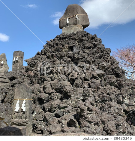 Fujimuka Fujimuka 89480349
