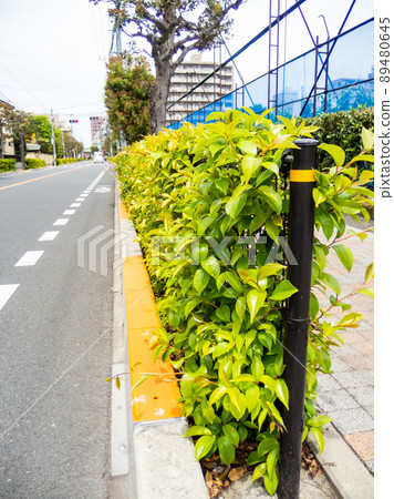 道路綠化綠化護欄 89480645