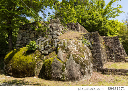 Oyakura遺址的新鮮綠色Naegi Castle石垣島 Oyakura遺址的新鮮綠色Naegi Castle石垣島 89481271