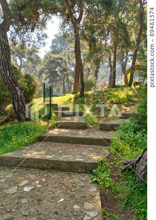 Stone stairs surrounded by huge green tree and grass at a public park in spring time, Buyukada Island (Princes island), Istanbul, Turkey 89481374