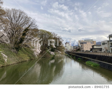 山形市嘉城公園的櫻花 山形市嘉城公園的櫻花 89481735
