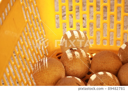 在籃子的棒球球 89482781