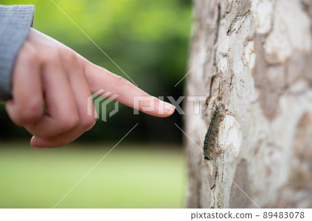 Child's hand pointing at a caterpillar 89483078