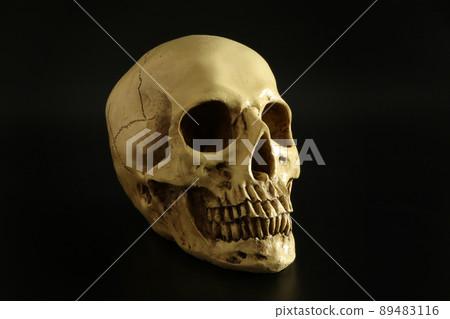 頭骨,頭骨,對角線(簡單的黑色背景) 頭骨,頭骨,對角線(簡單的黑色背景) 89483116