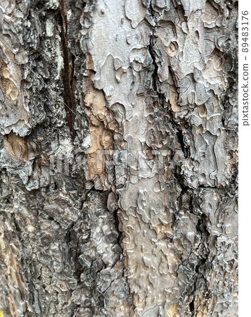 Bark 89483176