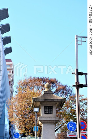 Lantern of Meiji Shrine 89483227
