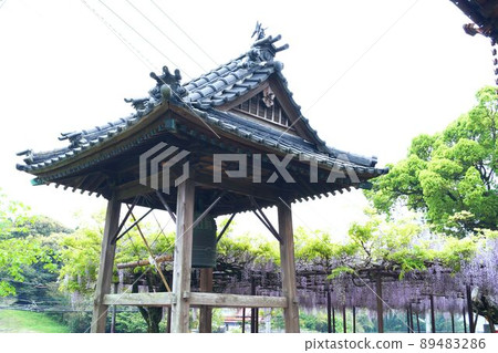 定禪寺的鐘樓和紫藤 定禪寺的鐘樓和紫藤 89483286