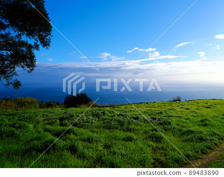 雄偉的天空和大海,田園詩般的風景 雄偉的天空和大海,田園詩般的風景 89483890