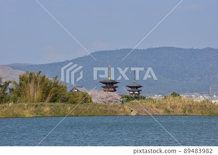 勝田池的春景 89483982