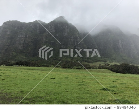 有霧的 Kualoa 牧場夏威夷山脈 有霧的 Kualoa 牧場夏威夷山脈 89484340