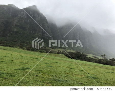 Moggi Ranch Foggy Ranch