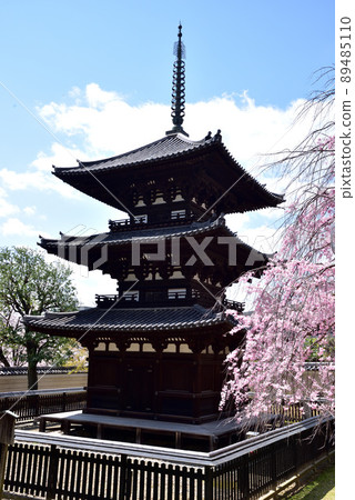 Spring scenery of the three-storied pagoda of Kofukuji Temple 89485110