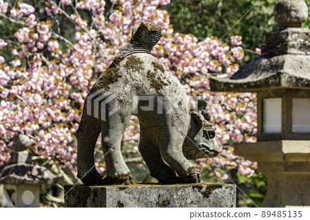 Yabu Shrine Komainu, Yabu City, Hyogo Prefecture 89485135