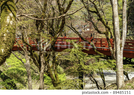 兵庫縣藪部市藪部神社神社 89485151
