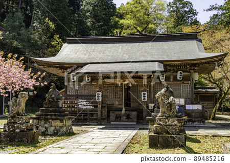 Yabu Shrine, Yabu City, Hyogo Prefecture 89485216