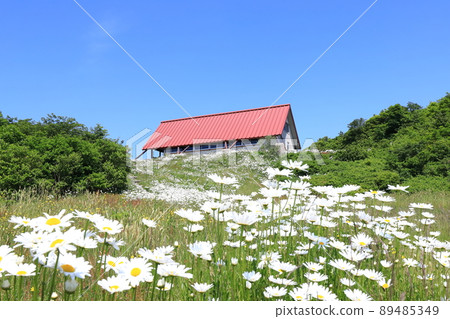 Niigata Sado Donden Evacuation Hut Niigata Sado Donden Evacuation Hut 89485349