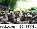 Selective focus of brown dry leaves scattered on the ground 89485641