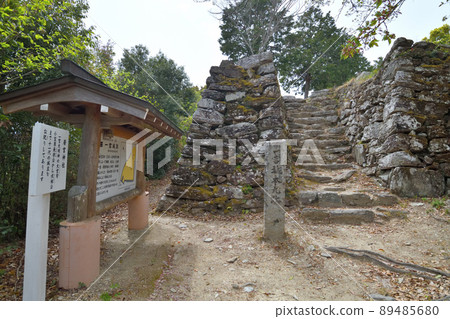 Awa "Ichinomiya Castle" Honmaru Ishigaki 89485680