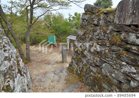 阿波“一宮城”石垣本丸 阿波“一宮城”石垣本丸 89485694