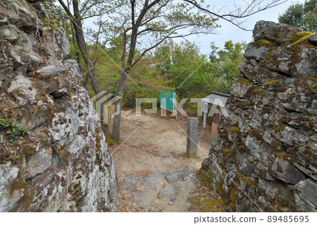 阿波“一宮城”石垣本丸 阿波“一宮城”石垣本丸 89485695