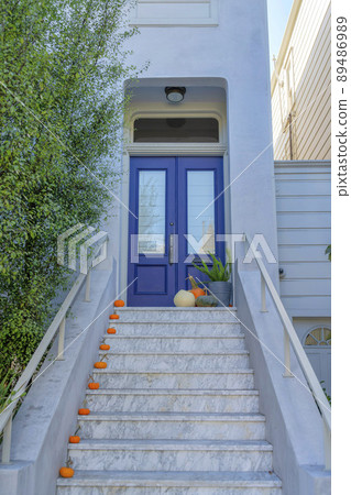Double violet front door with pumpkins on the doorsteps at San Francisco, California 89486989