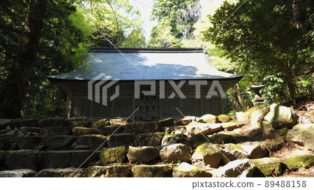 鮮綠色的石戶山伊須龍木彥神社 鮮綠色的石戶山伊須龍木彥神社 89488158