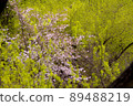 Change of the season 89488219