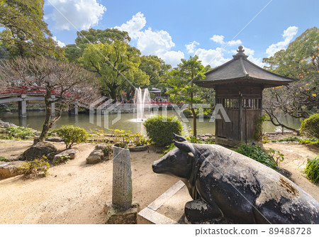 [Kyushu / Dazaifu] A stone statue of a ox ox standing on the waterside of a pond in Dazaifu Tenmangu. 89488728
