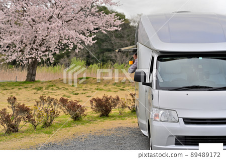 Don't miss spring! Cherry-blossom viewing in a camper in the rain 89489172