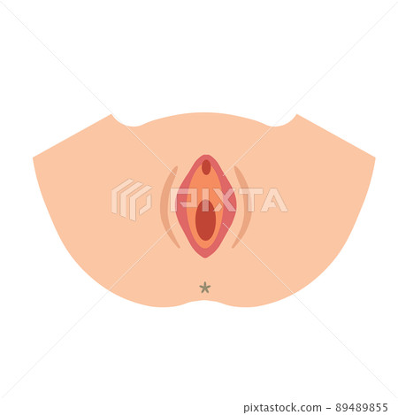 陰道的女性生殖器的插圖 89489855