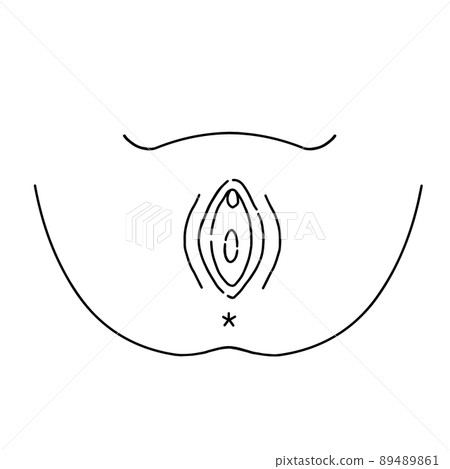 Illustration of female genitals of the vagina Illustration of female genitals of the vagina 89489861