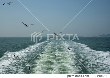 海鷗 89490685