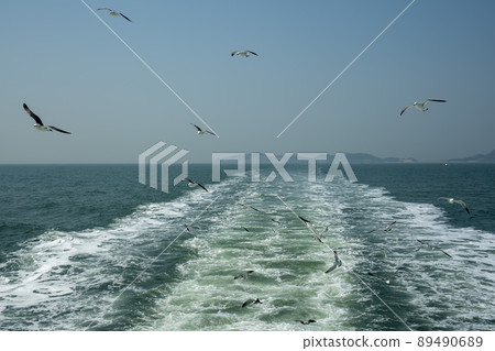 海鷗 89490689