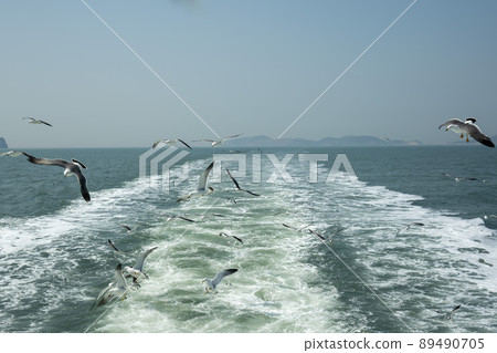 Seagull Seagull 89490705