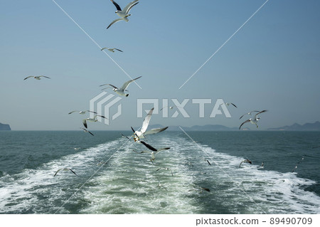 Seagull Seagull 89490709