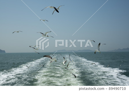 Seagull Seagull 89490710