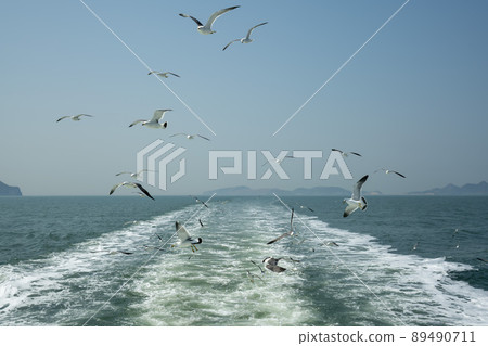 Seagull 89490711