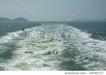 海鷗 89490727