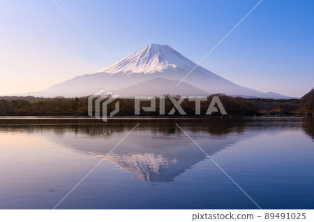 (山梨縣)朝霧和顛倒富士/精進湖 (山梨縣)朝霧和顛倒富士/精進湖 89491025