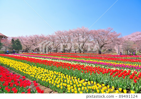 Fukaya Green Park (Aqua Paradise Patio) Fukaya City, Saitama Prefecture 89491124