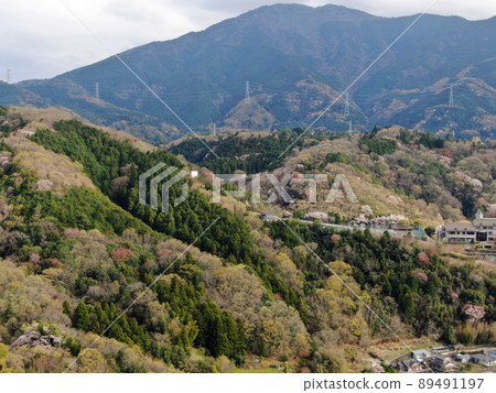 Aerial view of the mountain range of wild cherry blossoms in Anabuki, Mima City 89491197