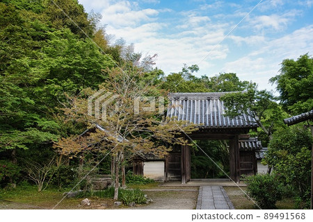 圓明寺(初夏、清晨、院內、樹木、山門) 圓明寺(初夏、清晨、院內、樹木、山門) 89491568
